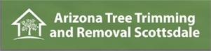 Arizona Tree Trimming And Removal Scottsdale Arizona Tree Trimming And Removal Scottsdale