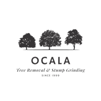  Ocala Tree Removal & Stump Grinding