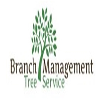 https://aztreedoctor.com/ Tree  Service