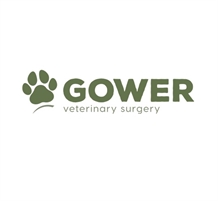  Gower Veterinary Surgery -  Swansea